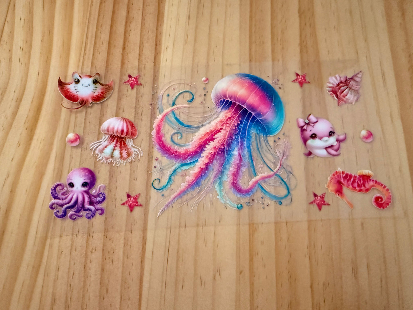 Jellyfish