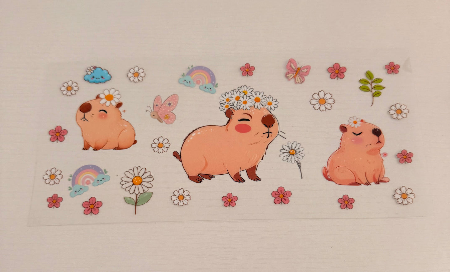 Capybara