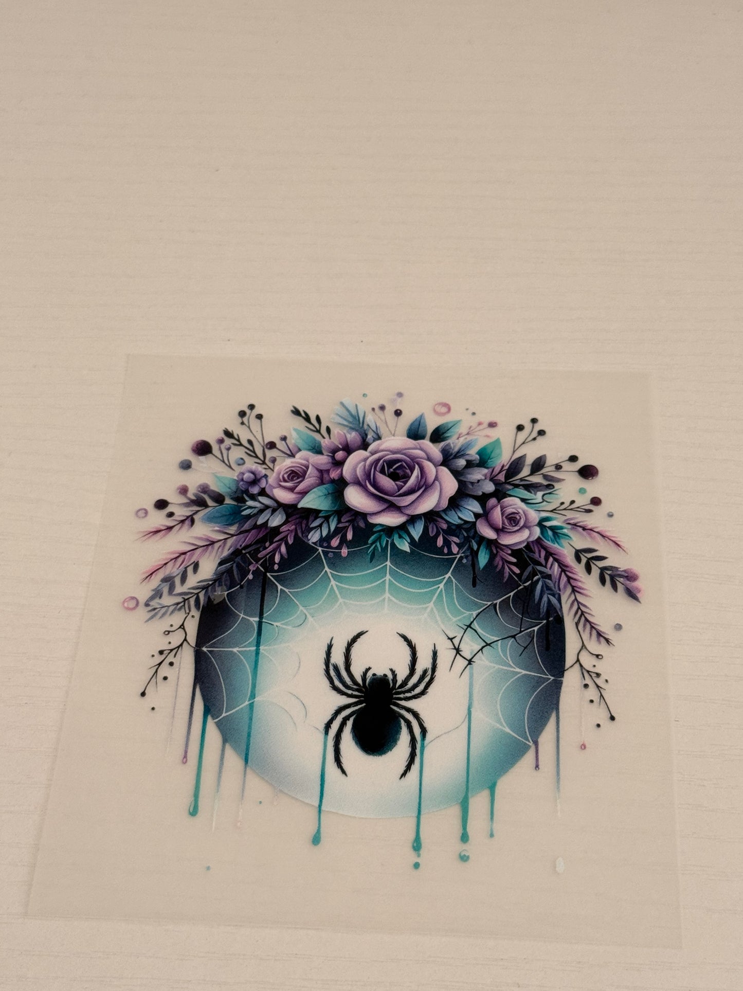 Spider