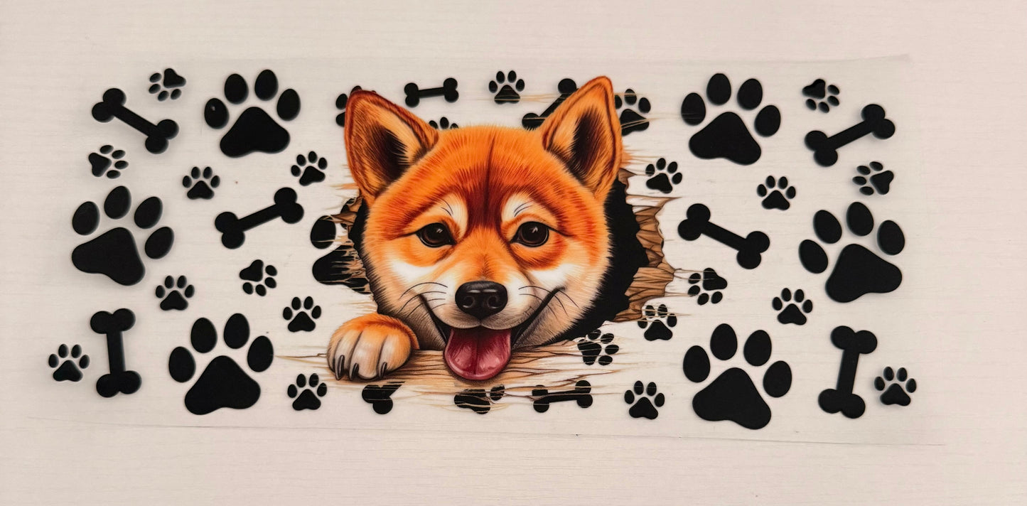 Dogs