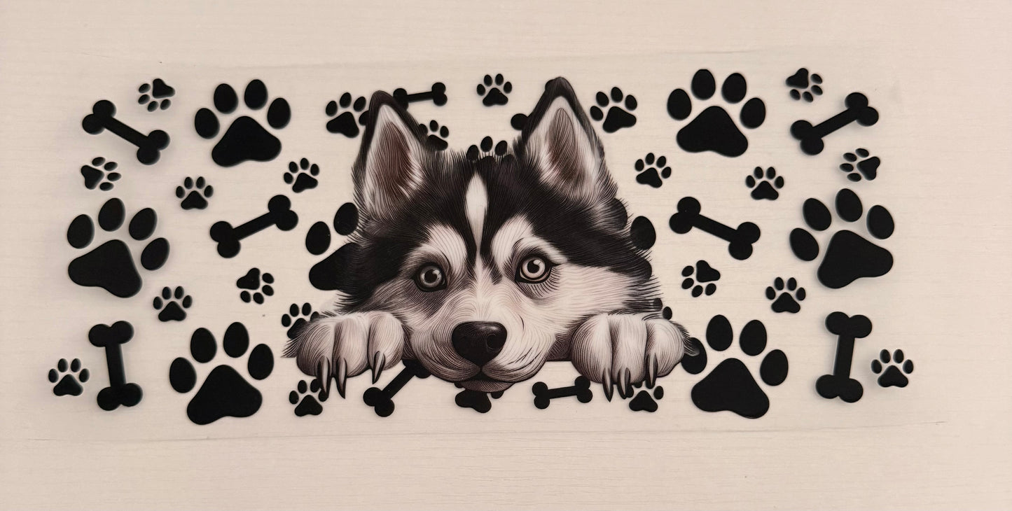Dogs