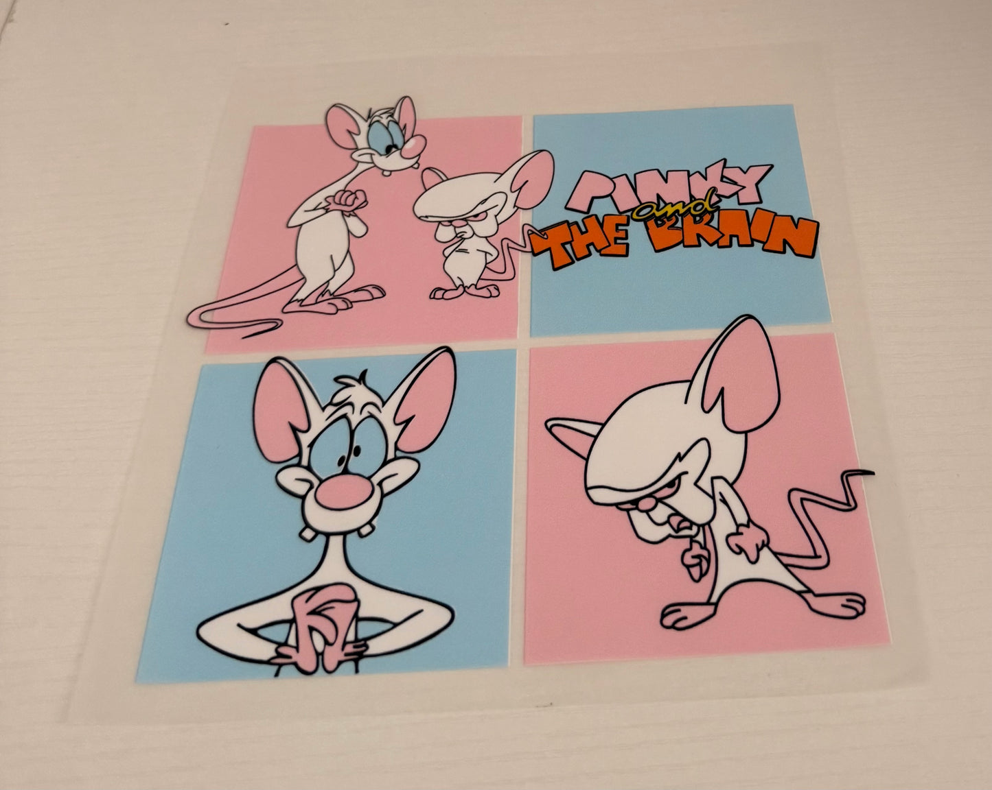 Pinky and the brain