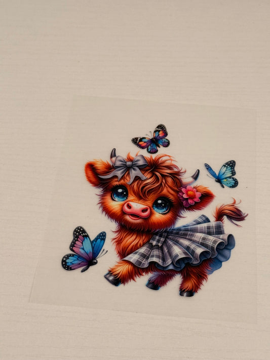 Highland cow