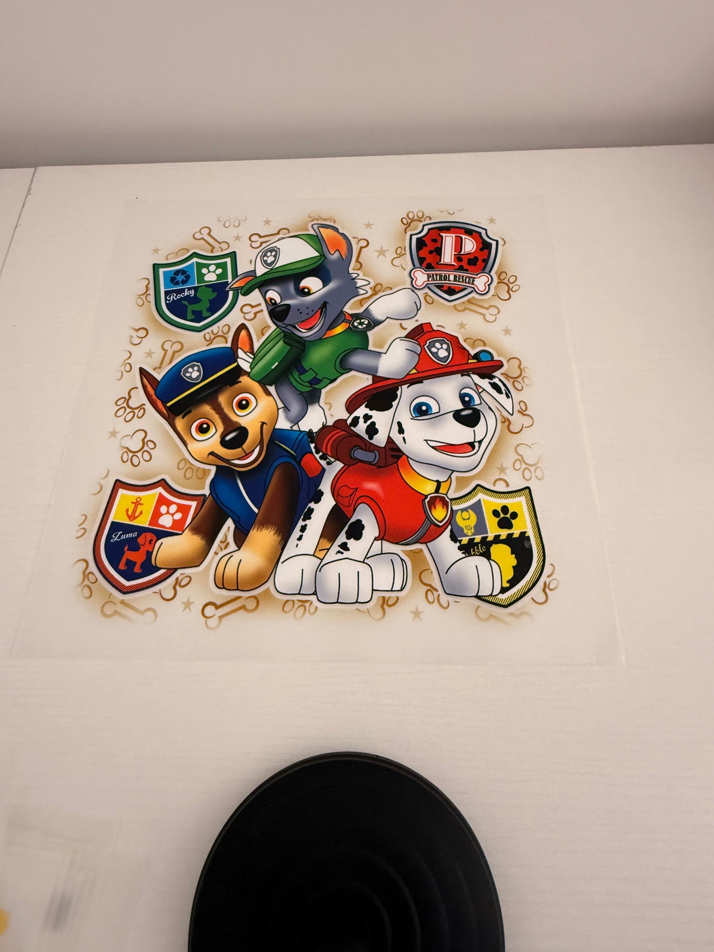 Paw patrol