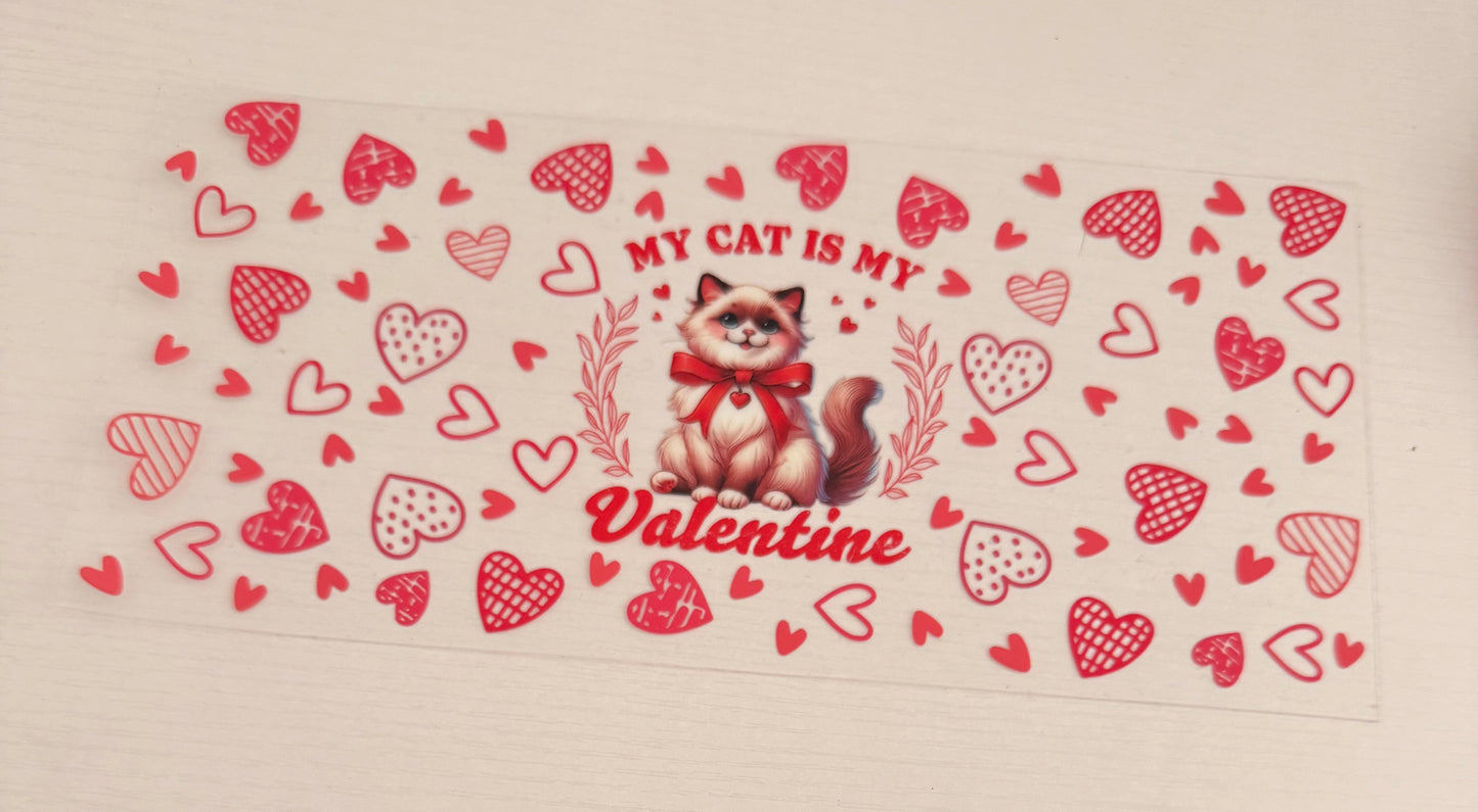 My cat is my valentine