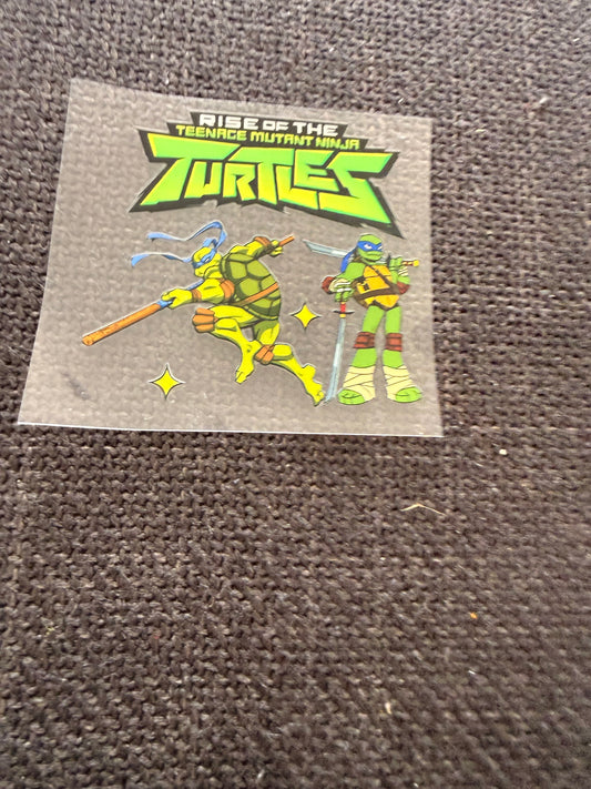 Mutain ninja turtle