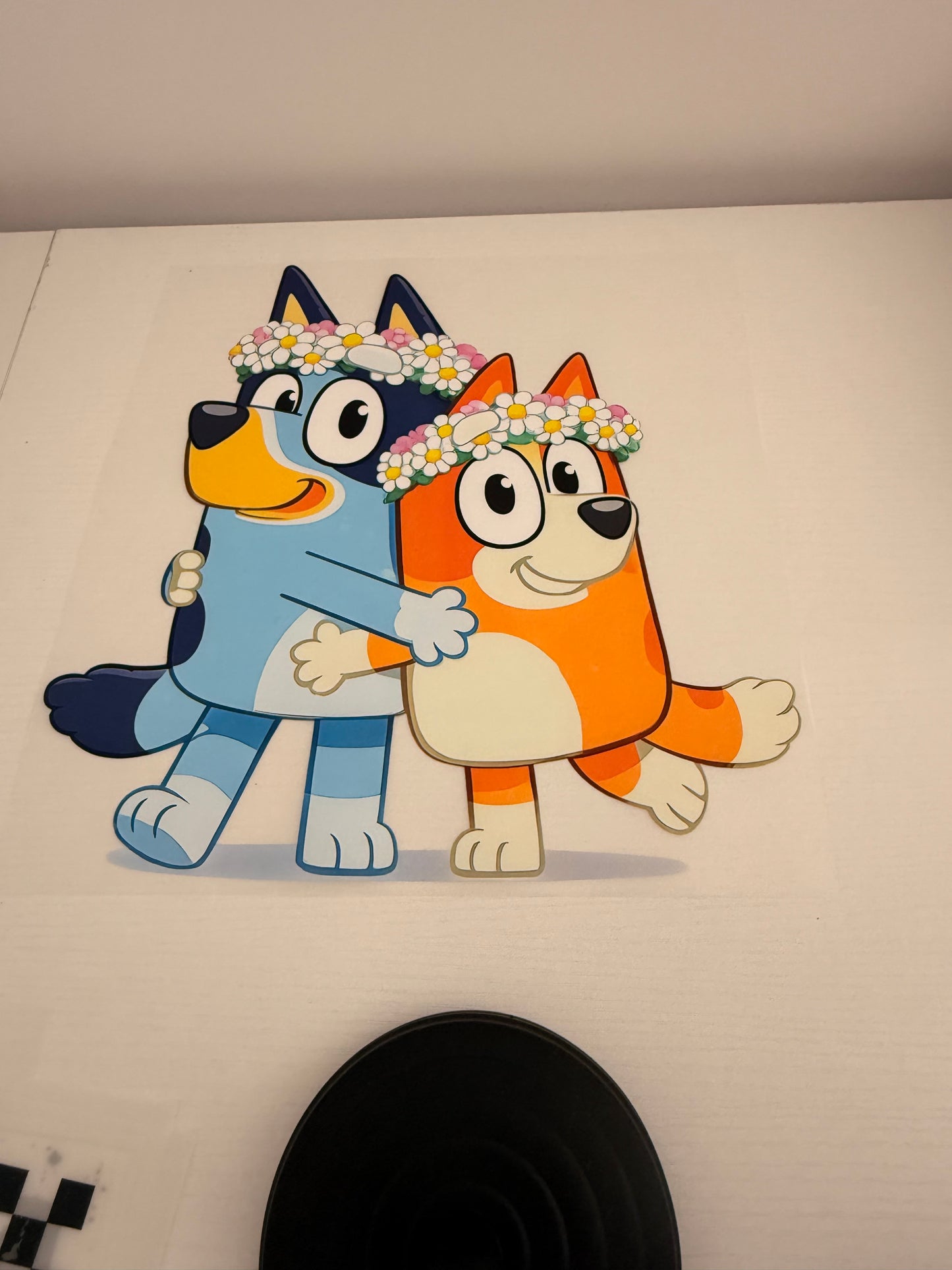 Bluey & bingo