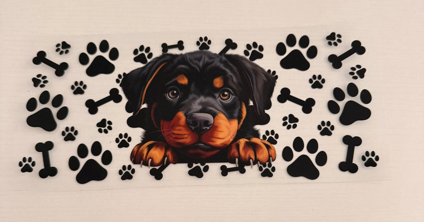 Dogs