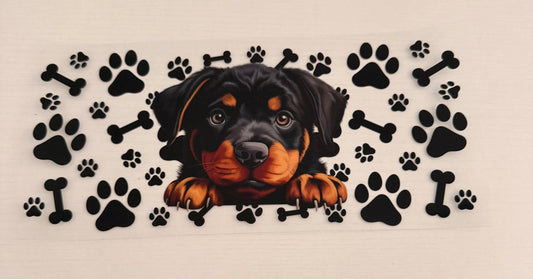 Dogs