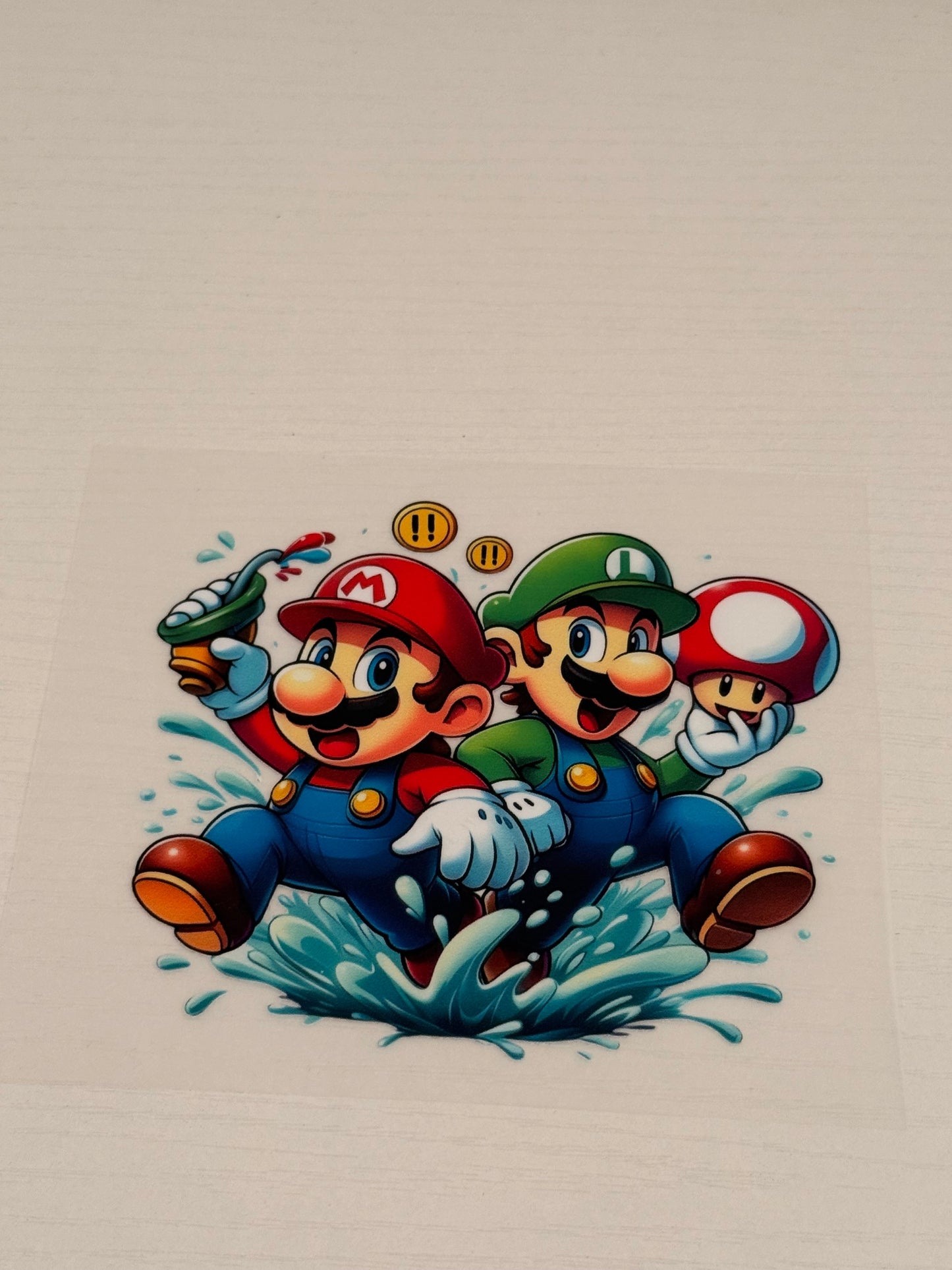 Mario & Luigi