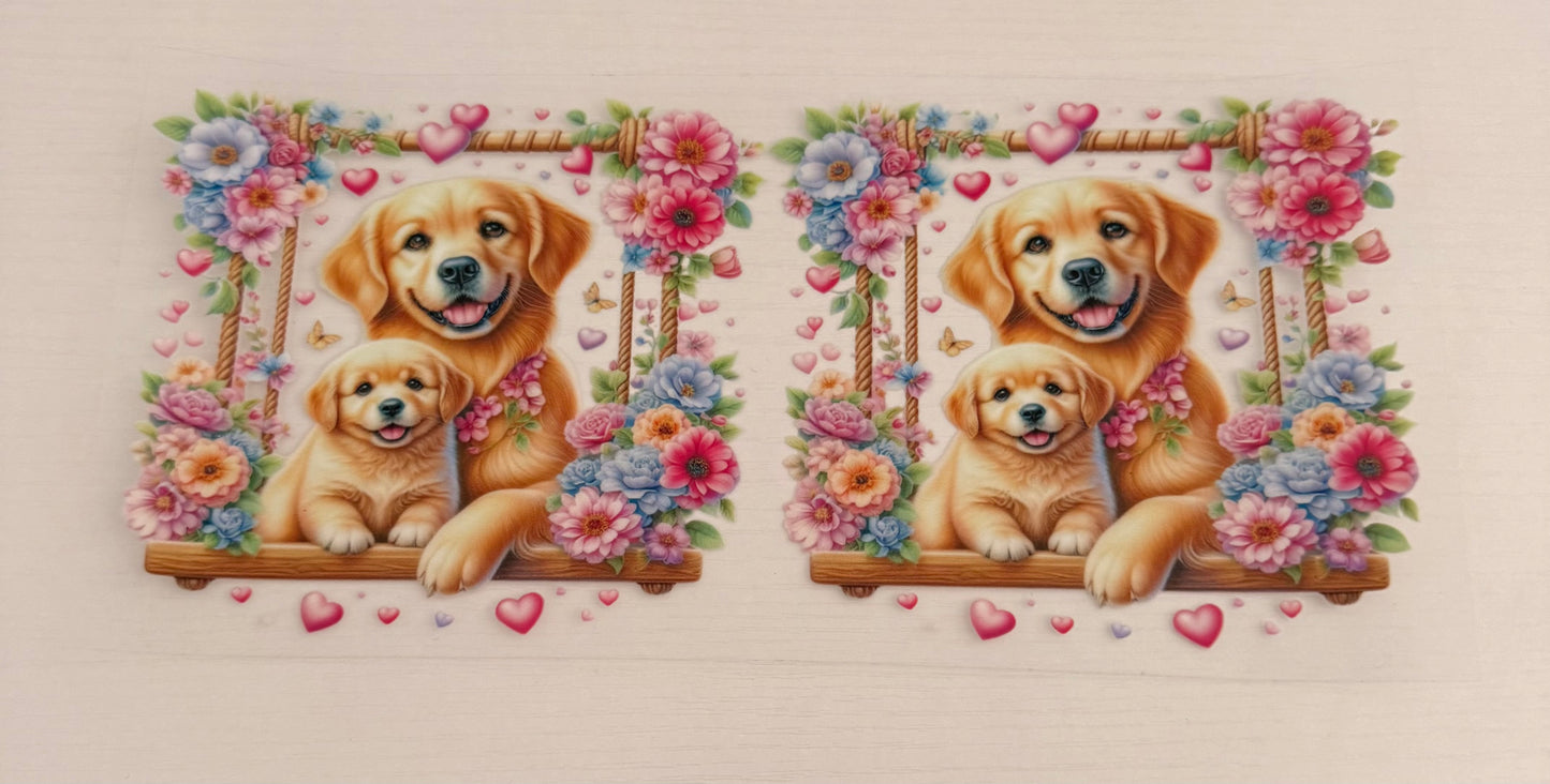 Dogs