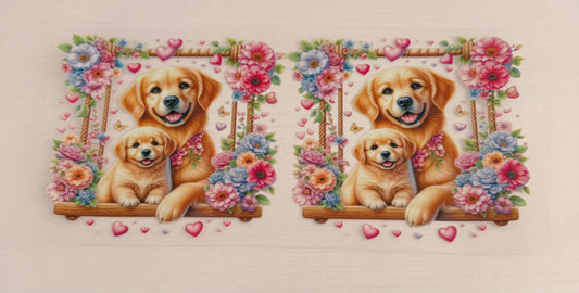 Dogs
