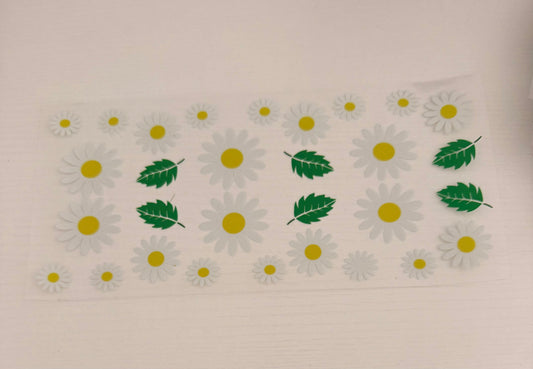 Daisy