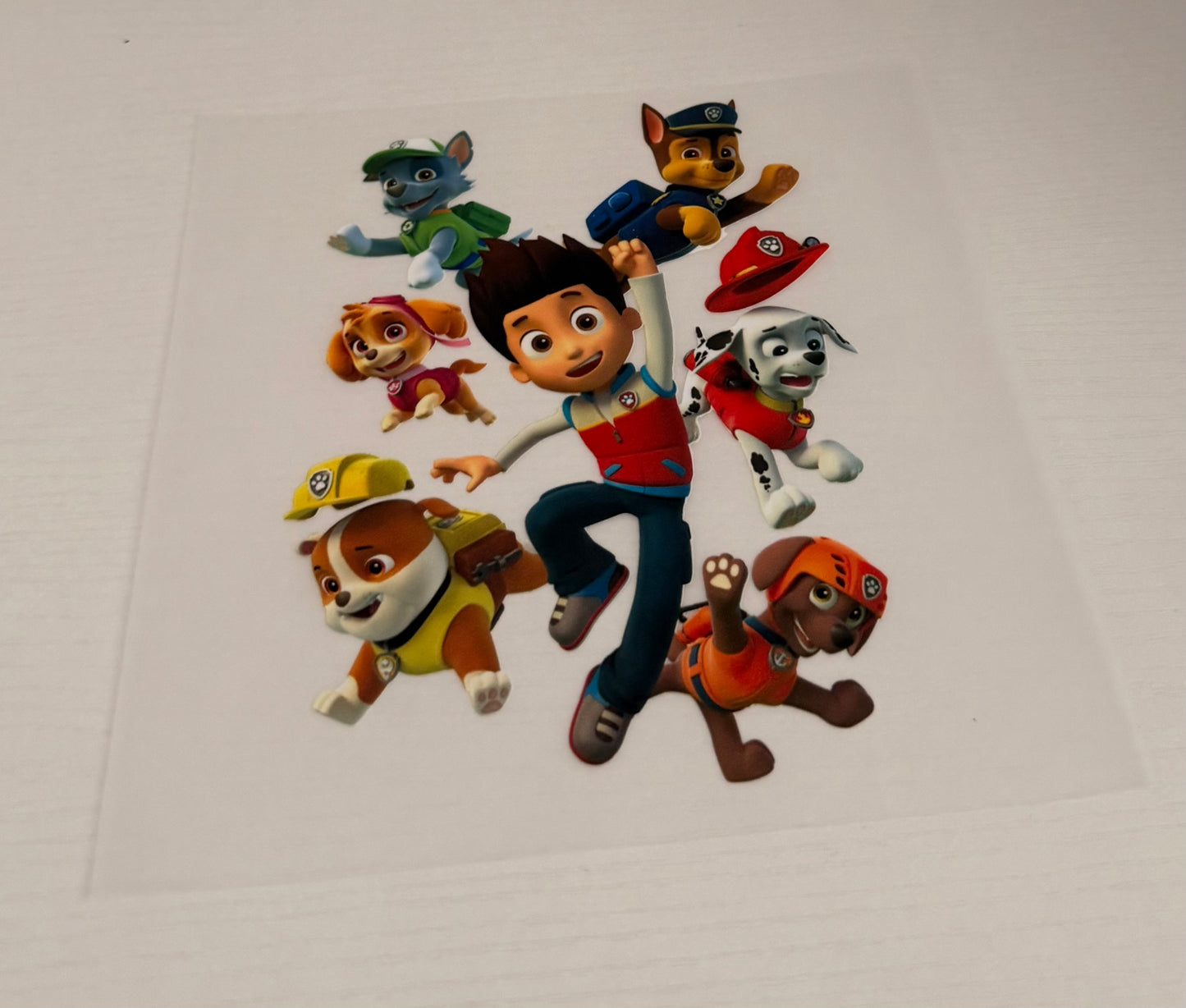 Paw patrol