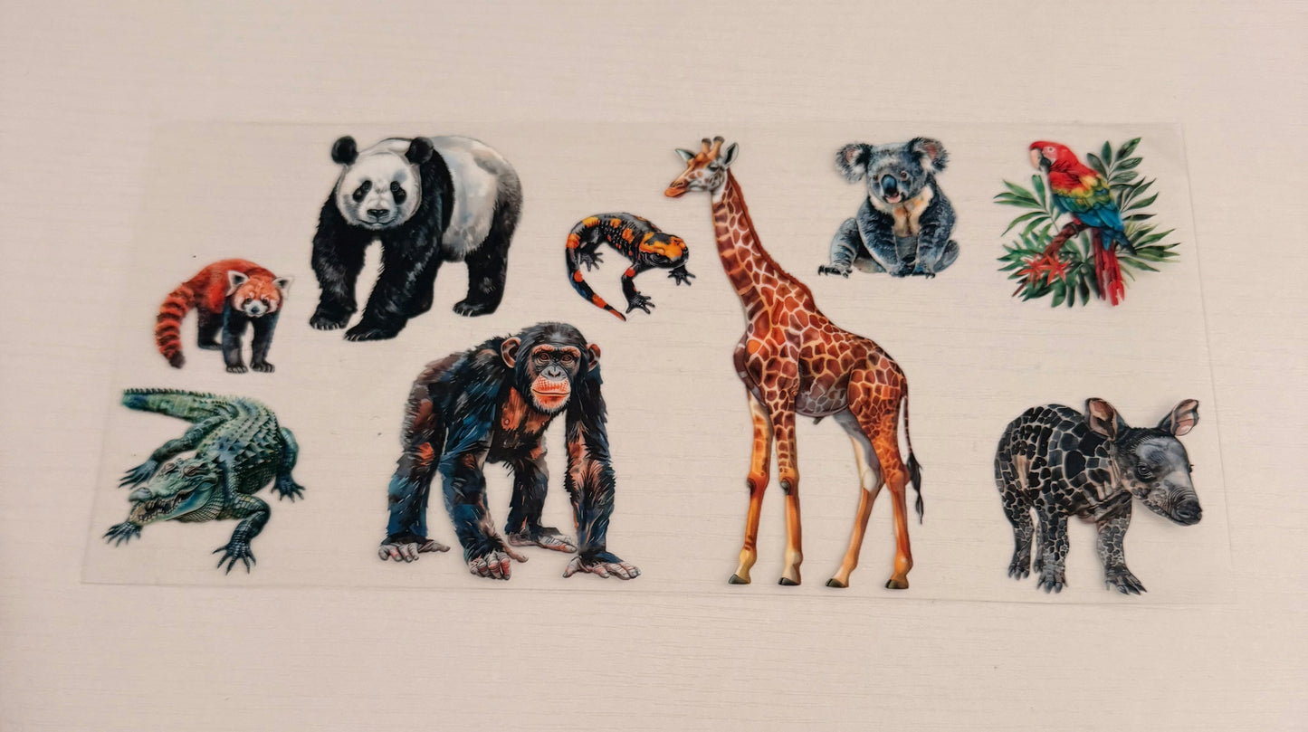 Zoo animals