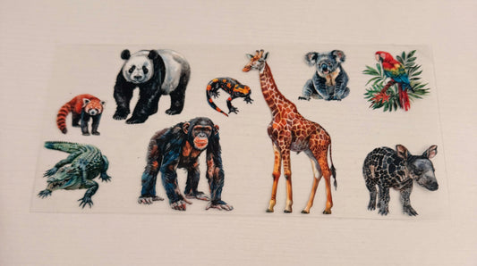 Zoo animals