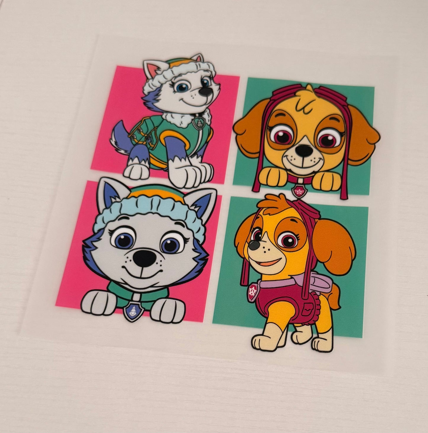 Paw patrol