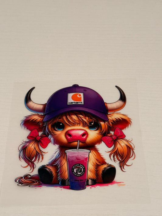 Highland cow