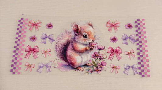 Squirrel