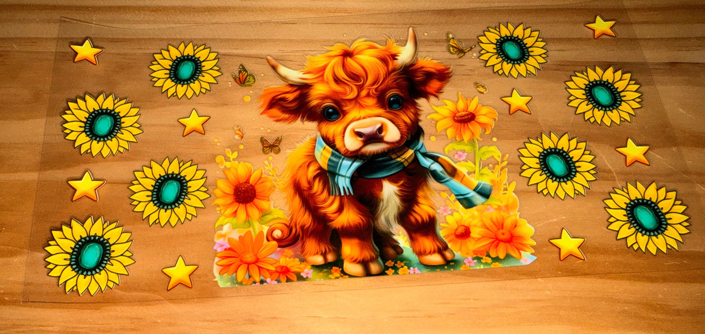 Highland cow
