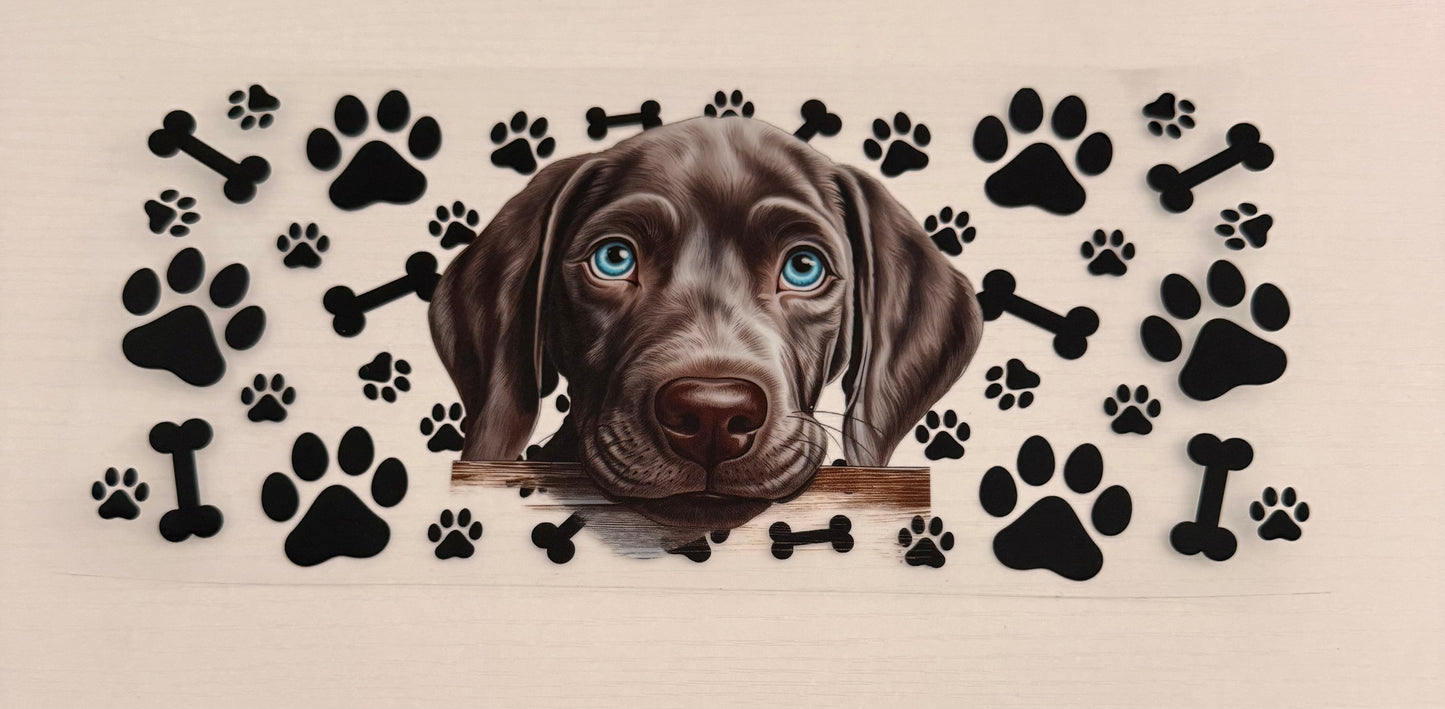 Dogs